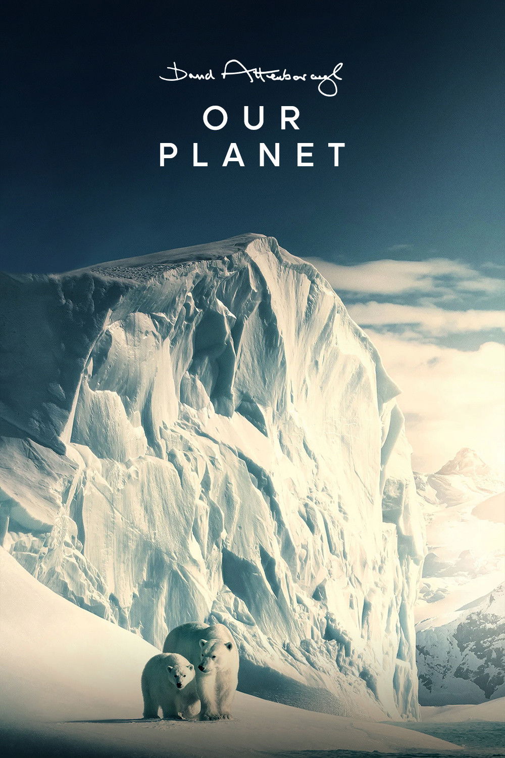 Our Planet (2019) [101048] (A1772786538) [[TV Programmes]] --Plex--